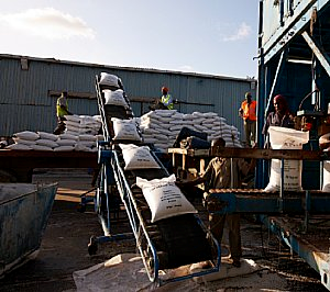 Veiligheidsmaatregelen transportband