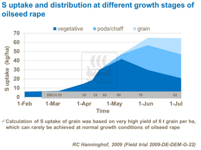 Absorption et distribution du soufre à différents stades de croissance du colza
