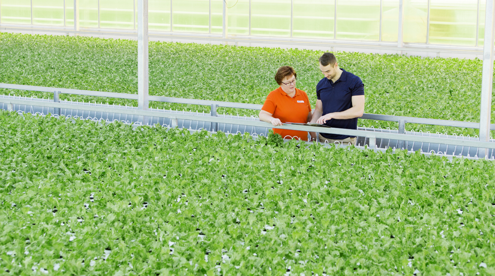 Tips voor schone leidingen