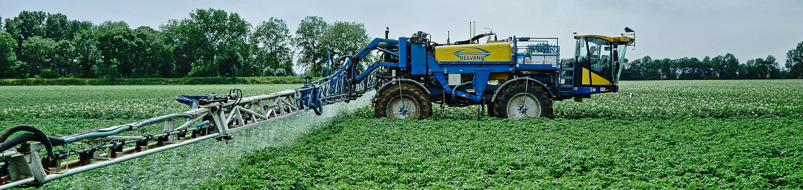 Delvano spuit YaraVita in veld met aardappelen