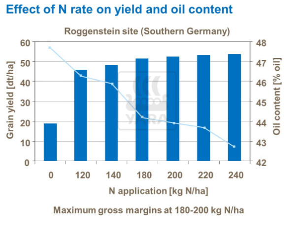 Effet de l'azote sur le rendement et teneur en huile