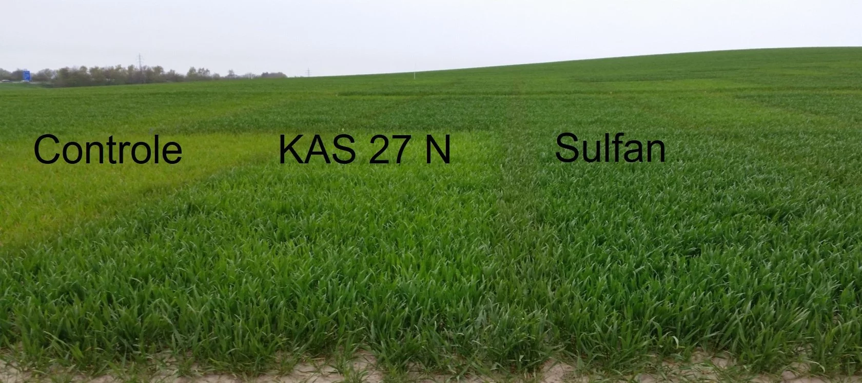02 les effets de le soufre et nitrate2.jpg