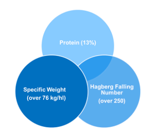 schéma qualité blé