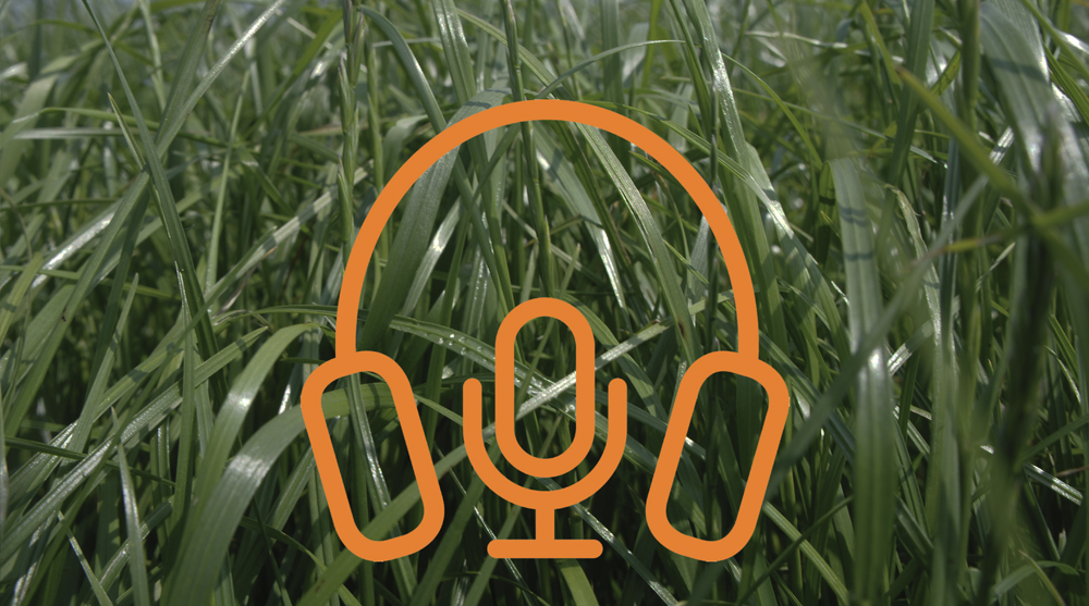 Nieuw: Podcast bemesting in grasland