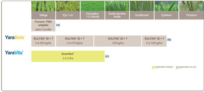 plan de fertilisation