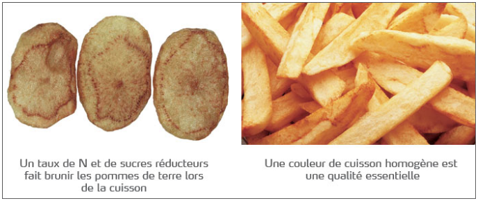 Chips et frites 
