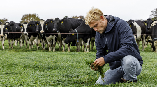 FAQs: 8 vragen en antwoorden over het bemesten van gras in het voorjaar