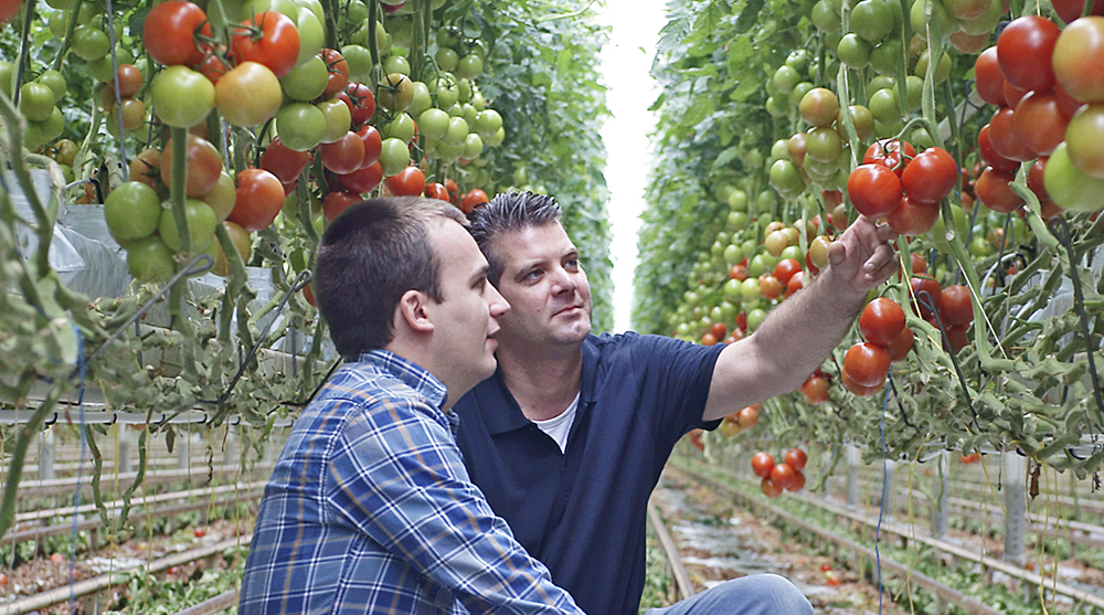 Bezoek de YaraTera EASYFEED en de fabriek van Yara Vlaardingen