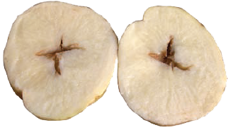 overmaatse aardappelen