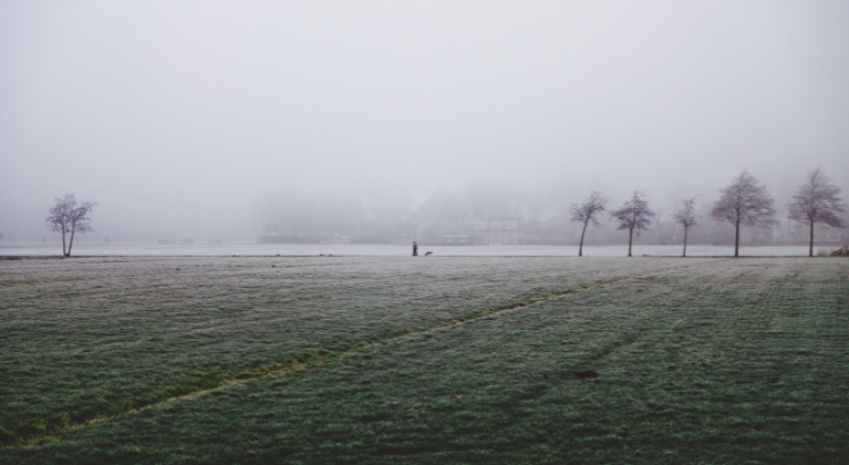 Grasland in winterlandschap