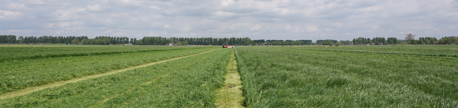 Fosfaatgebrek (p) in Grasland